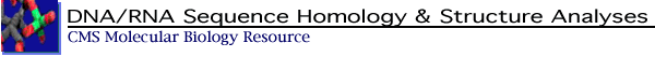 DNA and RNA Sequence and Structural Homology Analyses