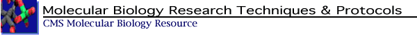 Molecular Biology Techniques & Protocols