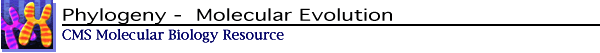 Molecular Evolution -Phylogeny