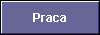  Praca 